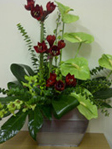 Modern Anthurium arrangement