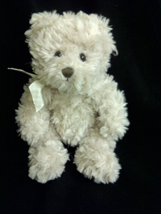 Natural coloured teddy bear